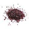 Natural Garnet Chip Beads G-O103-15H-01-2