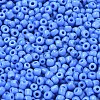 Glass Seed Beads SEED-A010-3mm-43B-3