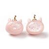 Sparkle Opaque Resin Charms RESI-E019-01G-03-2