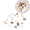 Mixed Natural Shell Bead Sets BSHE-PH0003-03-1