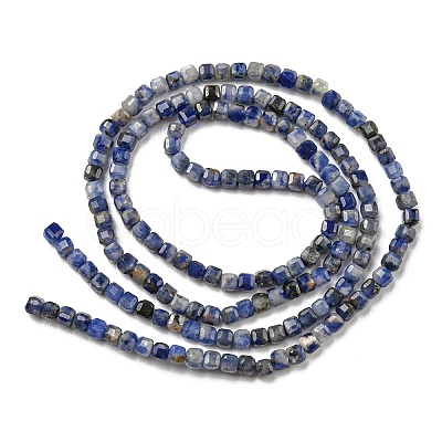 Natural Sodalite Beads Strands G-G0005-A01-1