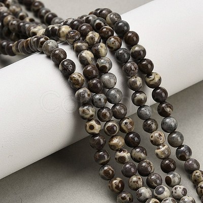Natural Astroite Jasper Beads Strands G-F814-A01-4mm-1