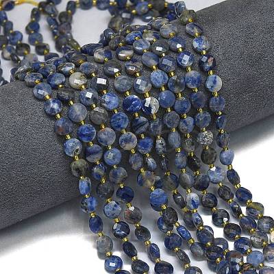 Natural Sodalite Beads Strands G-K389-B31-01-1