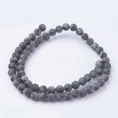 Natural Black Larvikite Bead Strands G-G735-57F-6mm-1
