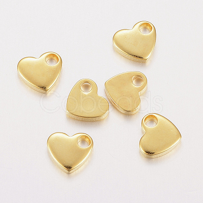 304 Stainless Steel Charms STAS-F162-36G-1