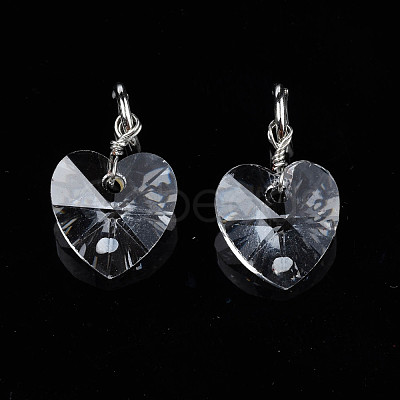 Faceted Transparent Glass Charms GLAA-T024-04L-1