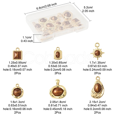 12Pcs 6 Styles Alloy Resin Pendants FIND-FS0004-05-1