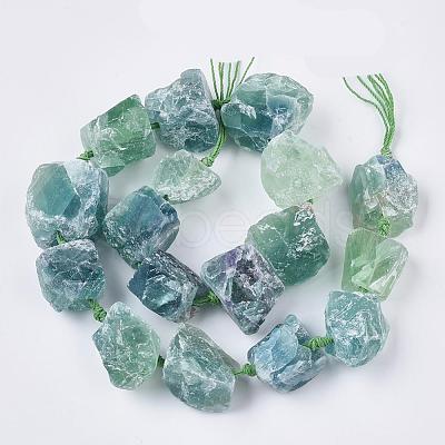 Natural Fluorite Beads Strands G-R421-12-1