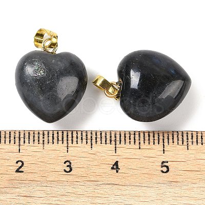 Natural Labradorite Pendants G-J386-H15-G-1