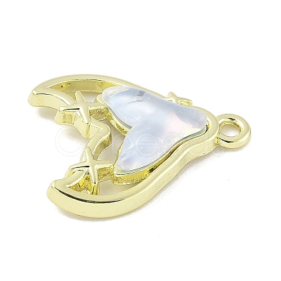 Zinc Alloy Pendants FIND-C067-01A-G-1
