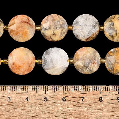 Natural Crazy Agate Beads Strands G-A292-A05-01-1