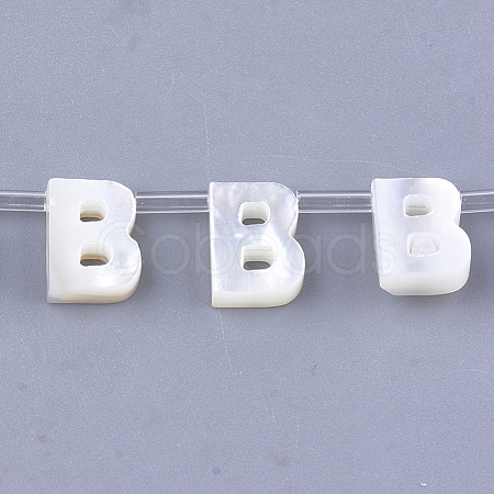 Natural Sea Shell Beads SHEL-T012-60B-1
