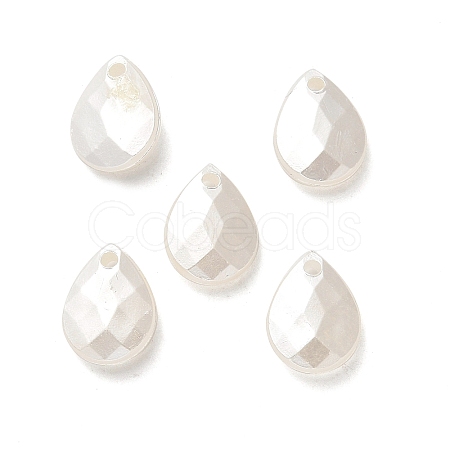 ABS Acrylic Pendants OACR-Z016-02-1