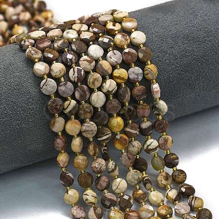 Natural Zebra Jasper Beads Strands G-K389-B69-01-1