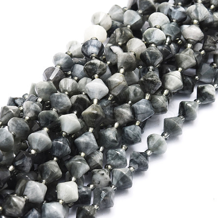 Natural Eagle Eye Stone Beads Strands G-E569-C10-1