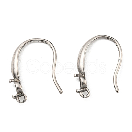 316 Surgical Stainless Steel Earring Hooks STAS-G310-19P-1