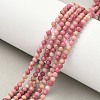Natural Rhodonite Beads Strands X-G-P553-G06-02A-2