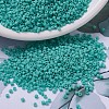 MIYUKI Delica Beads SEED-MY11-DB0759-1