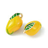 Brass Enamel Charms KK-G462-38LG-2