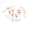 316 Surgical Stainless Steel Earring Hooks X-STAS-P220-13RG-1