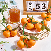 6Pcs Foam Simulated Orange Model AJEW-SP0003-61-4