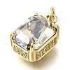 Brass Glass Charms KK-V011-32G-2
