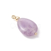 4Pcs 4 Styles Natural Amethyst & Rose Quartz & Green Aventurine & Dyed Quartz Teardrop Charms with Brass Bails PALLOY-JF04268-01-4