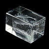 3D Laser Engraving Animal Glass Figurine DJEW-R013-01B-5