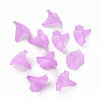 Transparent Acrylic Beads BSF796-C08-4