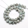 Natural Sesame Jasper/Kiwi Jasper Beads Strands G-L147-8mm-01-2
