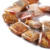 Natural Crazy Lace Agate Beads Strands G-L253-12-4