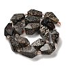 Natural Snowflake Obsidian Beads Strands G-NH0005-B03-01-3