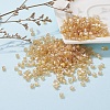 6/0 Glass Seed Beads SEED-YW0001-25K-5