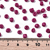 6/0 Glass Seed Beads SEED-S058-A-F451-4