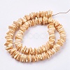 Natural Sea Shell Beads Strands BSHE-K012-08-2