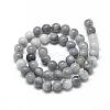 Natural Hawk's Eye Beads Strands G-R446-8mm-17-2