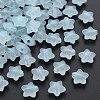 Transparent Acrylic Beads MACR-S373-26E-07-1