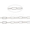 Tarnish Resistant 304 Stainless Steel Paperclip Chains CHS-F010-01D-P-1