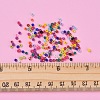 12/0 Glass Seed Beads SEED-JP0007-19-3