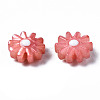 Natural Freshwater Shell Beads SHEL-N003-20B-4
