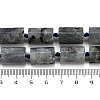 Natural Labradorite Beads Strands G-G162-D13-02-5