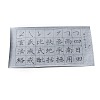 Chinese Calligraphy Hand Writing Practice Sheet of Regular Script DIY-WH0410-29B-2