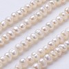 Natural Cultured Freshwater Pearl Beads Strands PEAR-F004-02-01-1