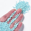 12/0 Glass Seed Beads SEED-S060-A-967-4