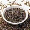 MIYUKI Round Rocailles Beads X-SEED-G008-RR0357-2