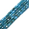 Natural Apatite Beads Strands G-P457-B01-14-1