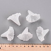 Transparent Acrylic Beads BSF796-6