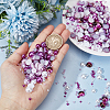 84G 14 Style ABS Plastic Imitation Pearl Cabochons SACR-OC0001-06-3