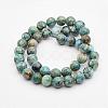 Natural Variscite Bead Strands G-P300-01-10mm-2
