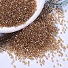 MIYUKI Delica Beads SEED-X0054-DB1241-1